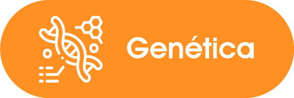 Genética