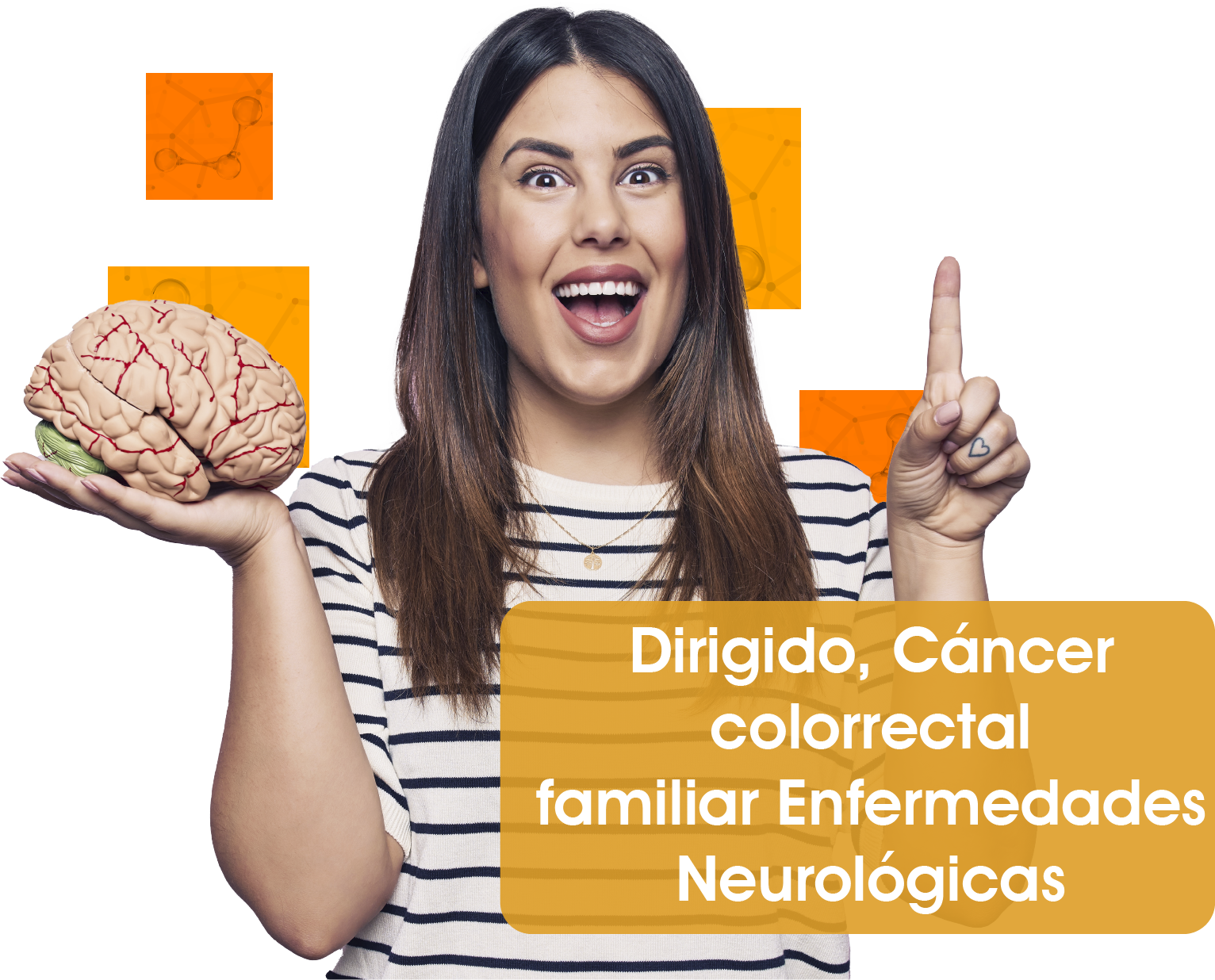 Descripción de la imagen