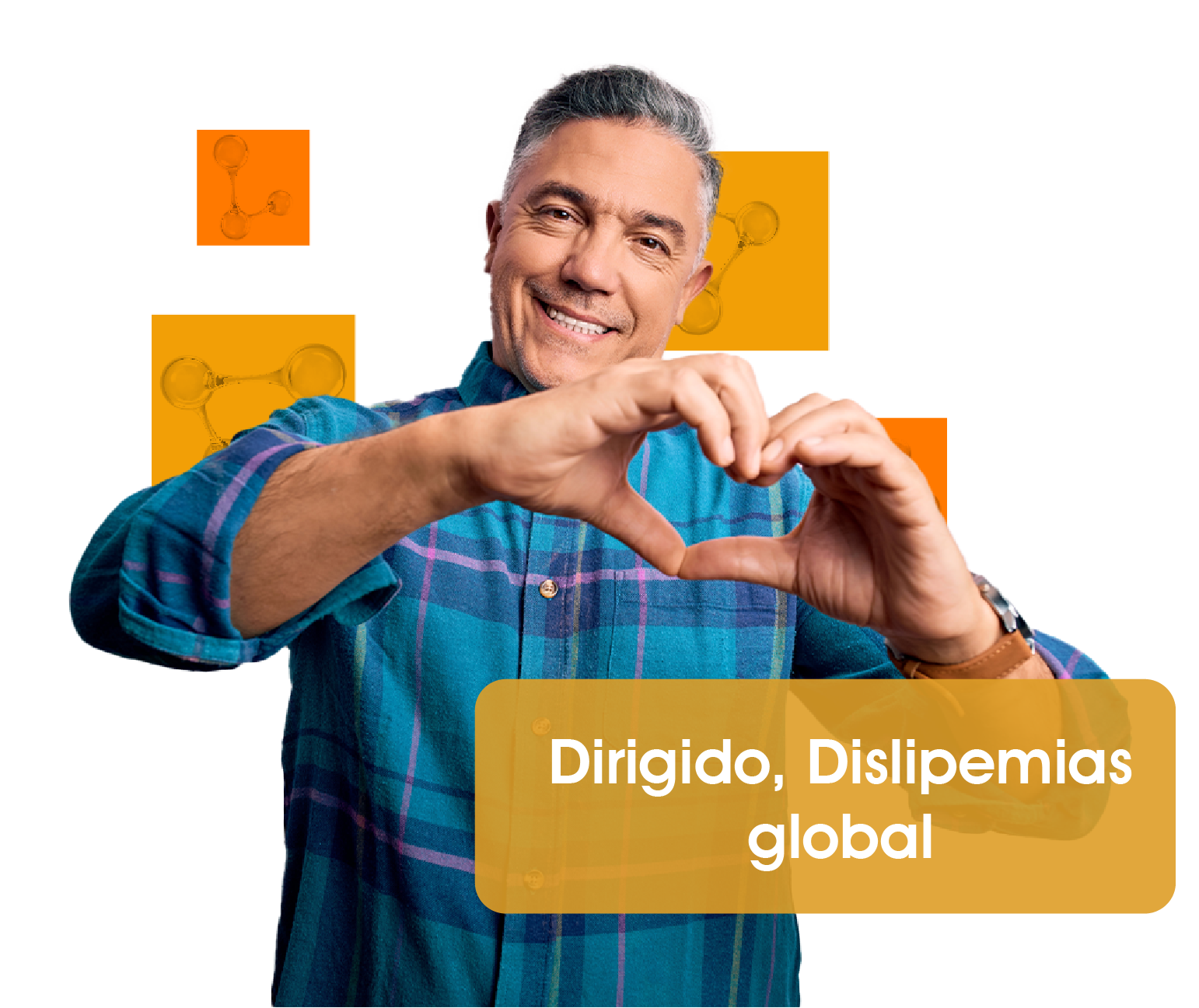 Descripción de la imagen
