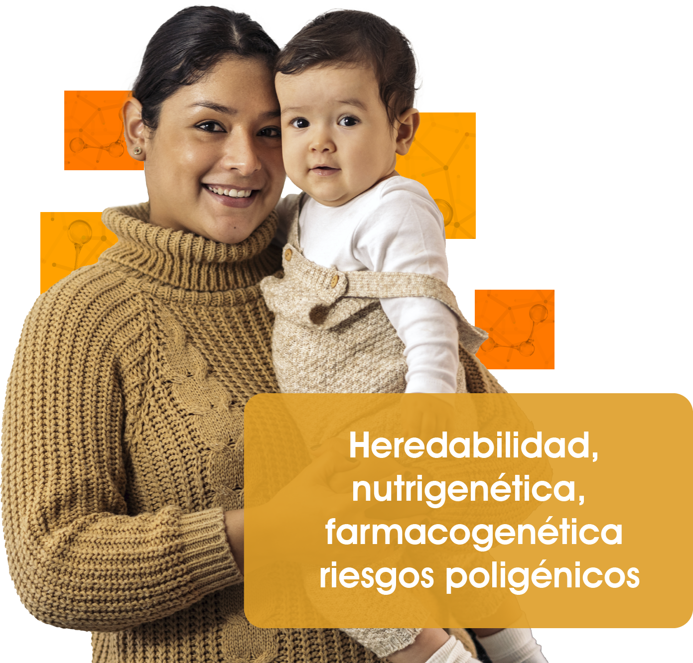 Descripción de la imagen