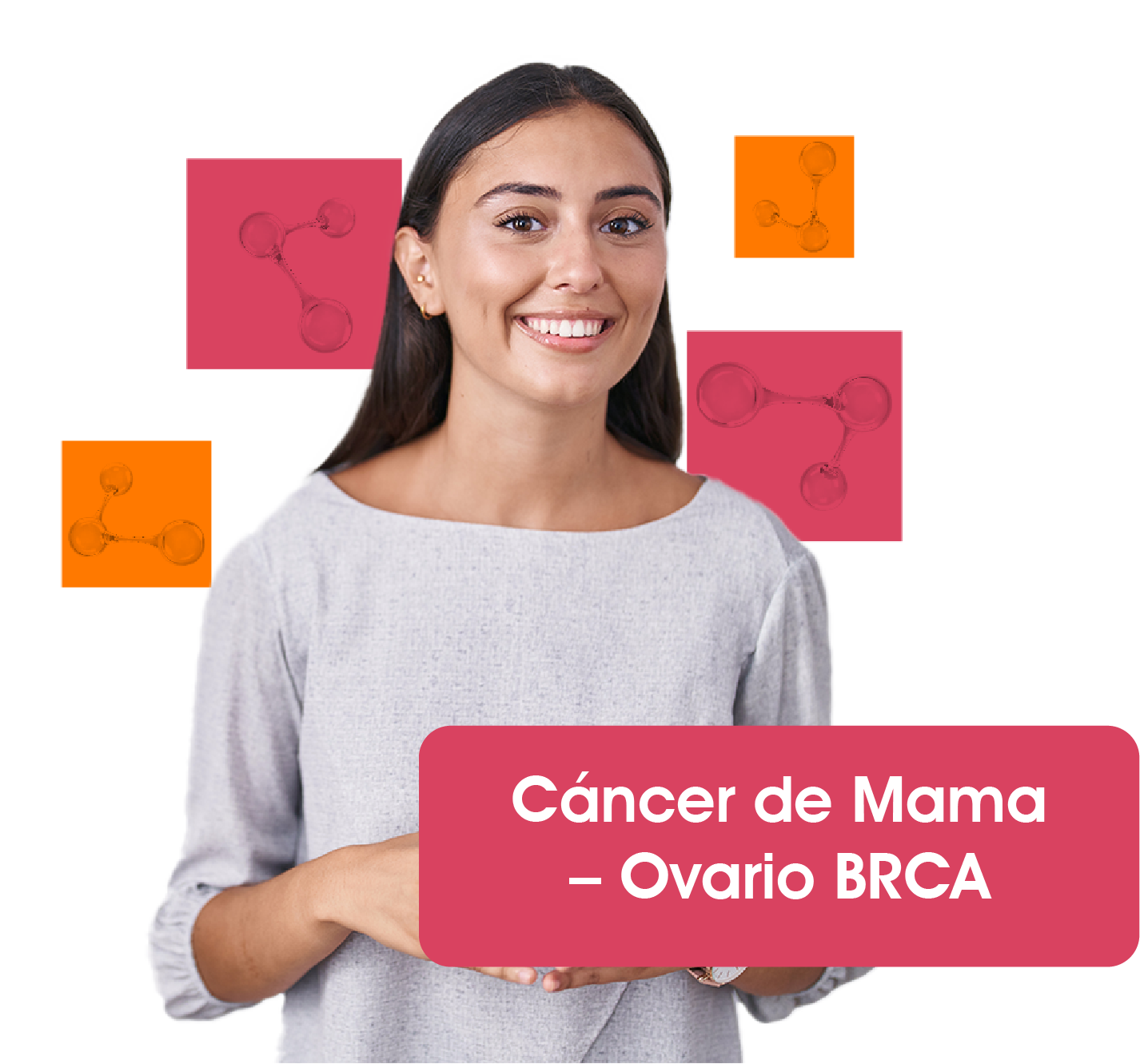 Descripción de la imagen
