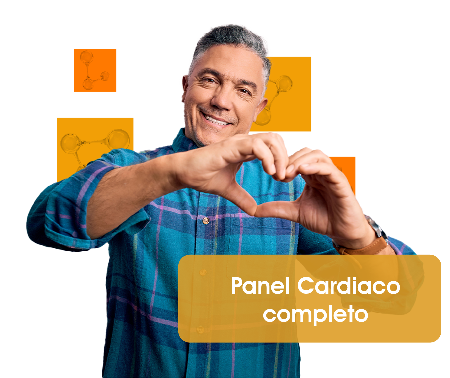 Descripción de la imagen
