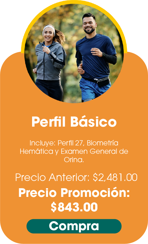 Perfil Básico