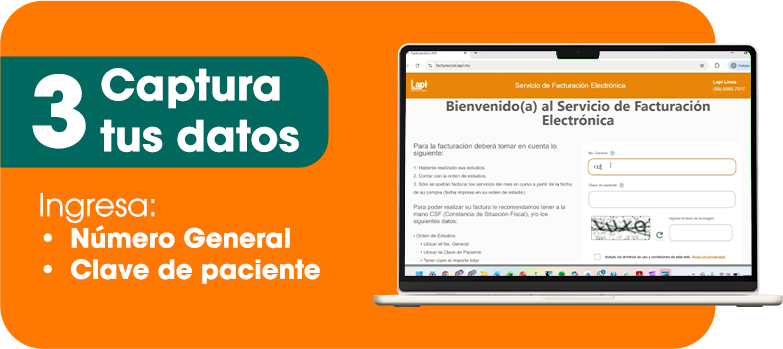Paso 3. Captura tus datos