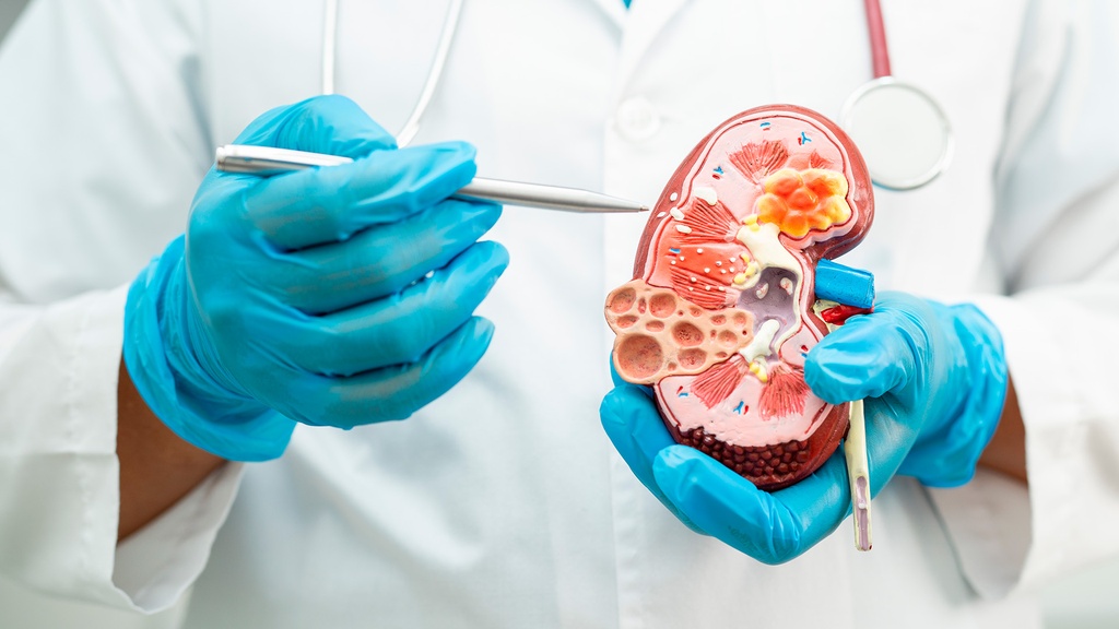 Creatinina en Orina Ocasional