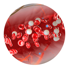 Hemoglobina Glucosilada (HB A1C) en sangre total