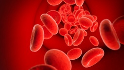 [COOIND] Coombs Indirecto