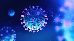 [COVIDPRND] Prueba Rapida para Determinar Antigeno para SARS-CoV-2-Nasal Domicilio