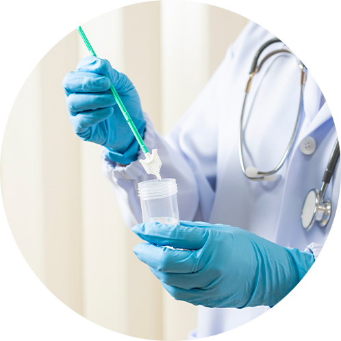 Perfil Prevención Rosa 2